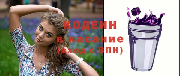 прущие крисы Вяземский