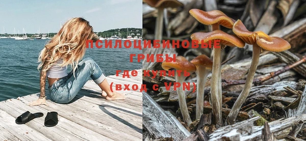 каннабис Вязники