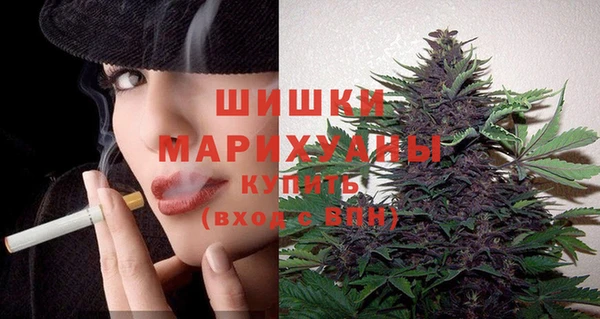 apvp Вязьма