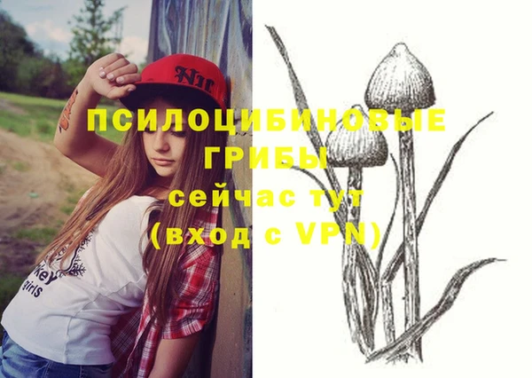 2c-b Горно-Алтайск