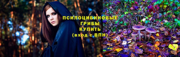 2c-b Горно-Алтайск