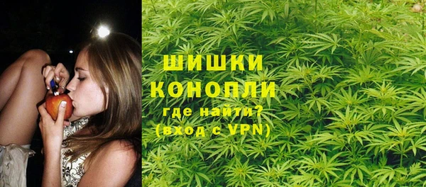 apvp Вязьма