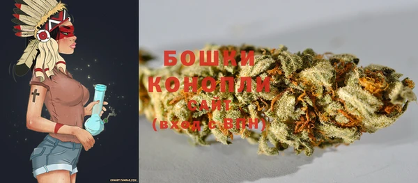 прущие крисы Вяземский